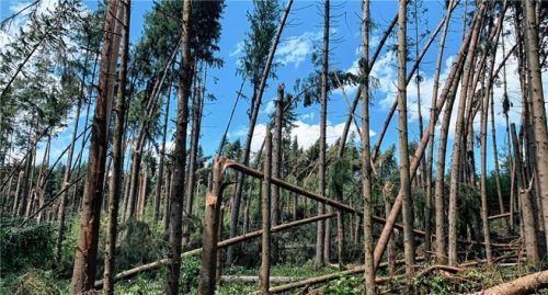 Viele umgeknickte Bäume hat das Unwetter vergangene Woche in den Wäldern rund um Halfing hinterlassen. Foto Amt für Landwirtschaft