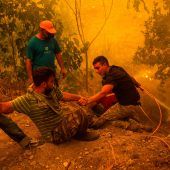 Euböa – die Wut nach dem Feuer