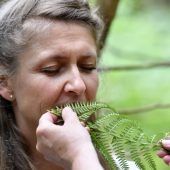Waldbaden gegen den Alltagsstress