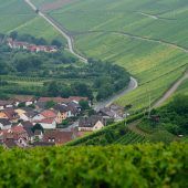 Kleine bayerische Wein-Geschichte