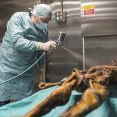 „Ötzi bleibt uns noch Jahrhunderte erhalten“