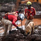 TÜV Süd auf der Anklagebank