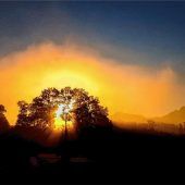 Sonnenstrahlen durchbrechen  Morgennebel