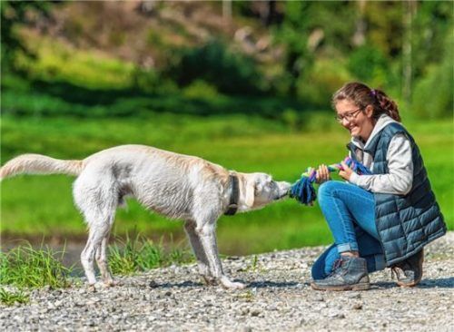Auf stillen Waldwegen sind die Vier- und Zweibeiner ganz für sich. Foto djd-k/Stadt Oberharz am Brocken/J. Reichel