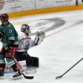 Starbulls mit vier Verteidiger-Toren zum 5:0-Sieg