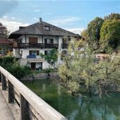 Die Silberweide bleibt in der Alz liegen