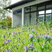 Am Priener Bahnhof brummt und summt es jetzt