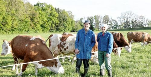 Die Kühe und Kälber des Biohofs von Hans und Elfriede Praxenthaler weiden etwa acht Monate im Jahr auf den Wiesen. In den heißen Sommermonaten dürfen sie nachts auf die Weide und tagsüber in den kühlen Stall. Foto  Astrid Larsen