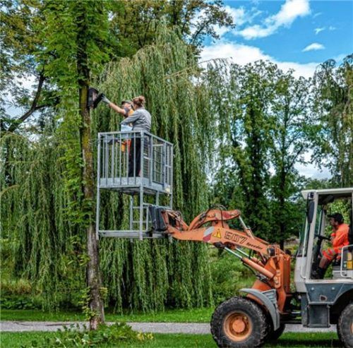 Die Pflege der Grünanlagen ist Aufgabe des Bauhofs. Und dazu gehört zweimal jährlich auch die Kontrolle aller Nistkästen. Fotos Thomae