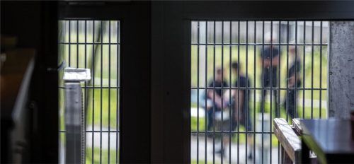 Ein gewohnter Anblick für den 41-Jährigen: In den vergangenen 20 Jahren hat er gerade einmal drei Jahre in Freiheit gelebt.Foto dpa