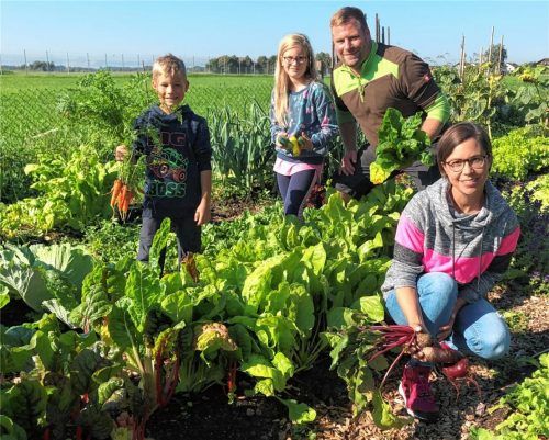 Familie Prietz auf dem „Firmengelände“, ein Feld vor den Toren von Edling: Auch die Kinder Moritz (7) und Emilia (9) helfen den Eltern Florian und Claudia Prietz manchmal bei der Ernte – zumindest in den Ferien. Foto Duczek