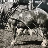 Von Stillstand keine Spur