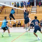 Mittelblocker krank oder verletzt