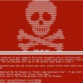 Cyber-Kriminellen auf der Spur