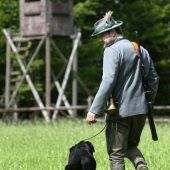 Der Greifvogel hat die Hosen an