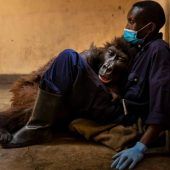 Eine Freundschaft fürs Leben