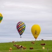 Buntes Ballon-Spektakel am grauen Himmel