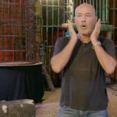 Wie der Elefant im Porzellanladen