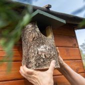 Gartentipps für den Herbst