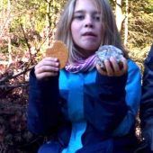 Achtjährige Julia verschwindet im Wald