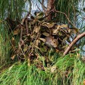 In Horst, Kobel, Burg oder Sasse