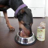 Was kostet ein Haustier?