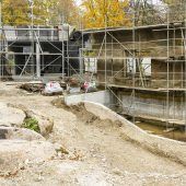 Die Höhle der Löwen nimmt Gestalt an