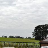 Obsternte durchschnittlich