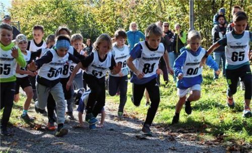 Crosslauf-Start bei den Buben 9/10. Foto Hans Rumpfinger