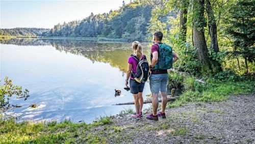 Die abwechslungsreiche Natur im Chiemsee-Alpenland zeigt sich im Herbst von ihrer besonders entspannten Seite. Foto djd/Chiemsee-Alpenland Tourismus/Thomas Kujat