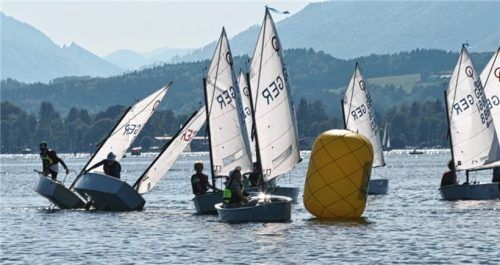 Die jüngsten Segler kämpften beim „Optimus-Cup des SC Breitbrunn-Chiemsee.Foto Niessen