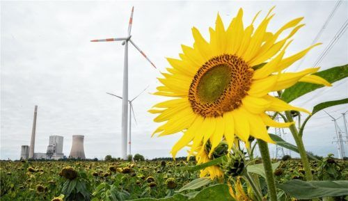 Egal, wie die künftige Regierung ausschaut: Klimaschutz und Kohleausstieg werden für die deutsche Politik zentrale Themen in den nächsten Jahren sein.Foto  dpa