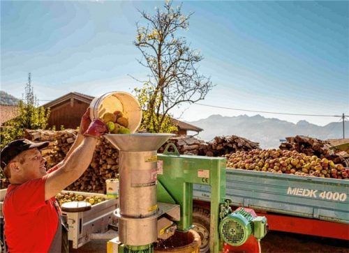 Hinein mit den Äpfeln: Simon Mayer, der Vorsitzende der Samerberger Gartler, legt an der Obstpresse gerne selbst Hand an.