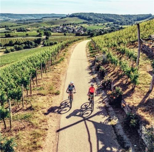 Im Herbst treibt es noch mal viele Radler raus in die Natur. Foto  djd/HeilbronnerLand/Chris Frumolt