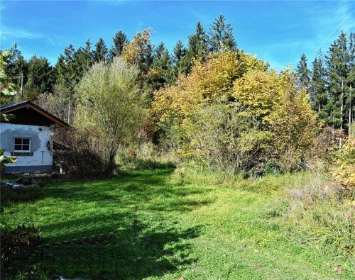 In diesem Biotop bei Unterimmelberg in der Gemeinde Rohrdorf will die Bahn Bohrungen durchführen. Gegen den entsprechenden Bescheid des Landratsamtes möchte die Gemeinde nun klagen.Foto Schlecker