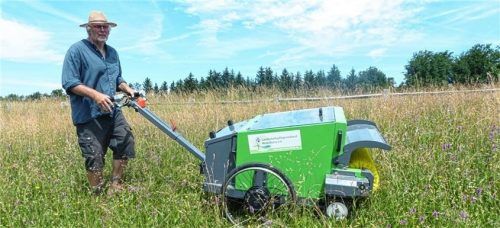 Mit einem Wiesensamen-Erntegerät hat der Landschaftspflegeverband Rosenheim einige Hektar artenreichen Grünlands besammelt, hier am Hitzelsberg in Bernau am Chiemsee. Foto re