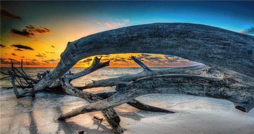 Perfekter Platz für einsame Spaziergänge: Greer Island. Foto bacvb/www.bradentongulfislands.com