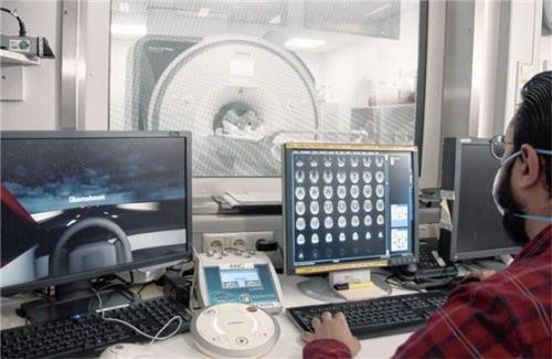 Was passiert im Gehirn, wenn Autofahrer abgelenkt sind oder ihre Konzentration verlieren? Foto AUM/Ford