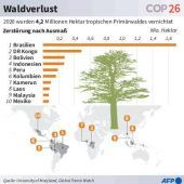 Klima-Gipfel: Entwaldungs-Stopp bis 2030