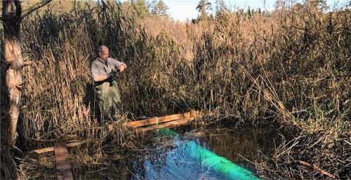 Am Bachhamer Mühlbach überprüft Hans Jürgen Pohl, Biberbeaufragter des Landkreises Rosenheim, die Wasserpegel.Foto Gemeinde