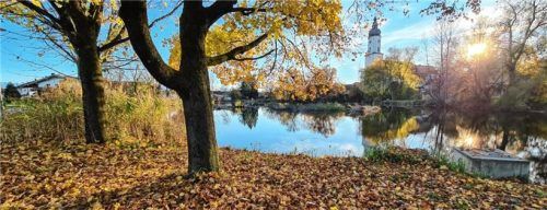 Das Mösl zu Füßen der Pfarrkirche macht das Bild dörflicher Idylle komplett – und es ist voller Leben.