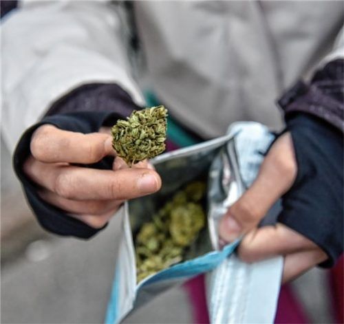 Der Angeklagte hatte unter anderem Marihuana im Internet bestellt. Foto dpa
