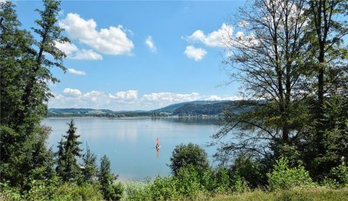 Der flache Simssee reagiert sensibel auf den Eintrag von Nährstoffen. Deswegen ließ Stephanskirchen sein Gemeindegebiet nach möglichen Eintragspfaden untersuchen und macht aus einem Absetzbecken eine Schilfkläranlage. Foto Archiv Schlecker