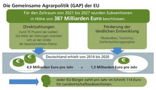 Die EU-Förderung für die Landwirtschaft in der Europäischen Union verteilt sich auf zwei Säulen. Die erste bilden die Direktzahlungen an die Landwirte, gemessen an der bewirtschafteten Fläche. Die zweite Säule umfasst Gelder für Öko-Landwirtschaft und ländliche Entwicklung. Klinger