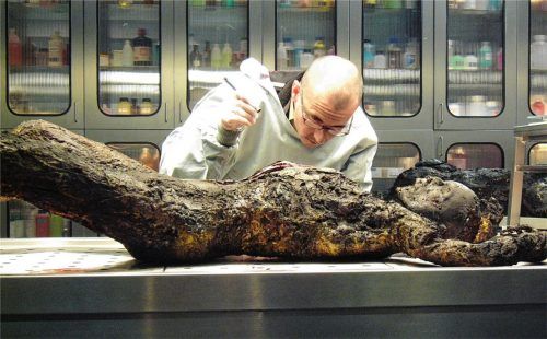 Gehört zu den bekanntesten Kriminalbiologen in Deutschland: Dr. Mark Benecke aus Köln wurde vom FBI ausgebildet und operiert international. Er hat Speziallabors in Kolumbien, Vietnam und auf den Philippinen errichtet. Foto benecke.com