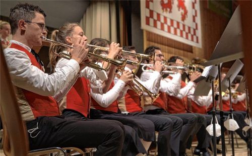 In Reih und Glied musizieren:  die Stadtkapelle Wasserburg bei einem Auftritt. Foto Stadtkapelle