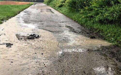 Loch im Damm: In der Saliterstraße hatten Biber den Hochwasserschutz so unterhöhlt, dass Wasser aus der Rohrdorfer Ache auf die Straße lief. Das Leck konnte rechtzeitig vor den großen Regenfällen geschlossen werden. Aber an genau dieser Stelle sind auch jetzt wieder Biber aktiv. Foto Thomae