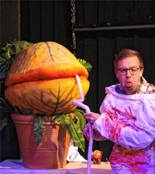 Seymour (Stefan Thalmeier) stillt den nächtlichen Blutdurst seiner hungrigen Pflanze Audrey II. Foto Emilia Giannetta