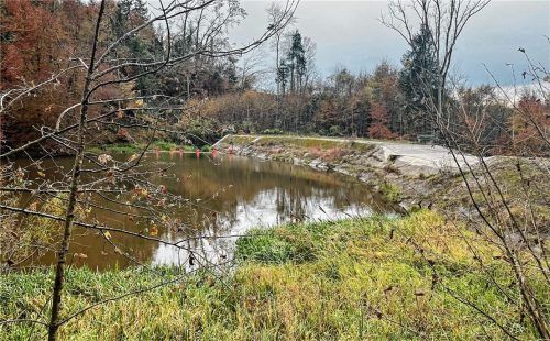 Sofortmaßnahmen am Waldsee: Mit einer neuen Dammkrone und dem Einbau eines Seilnetzes zum Zurückhalten von Treibgut wurde der Hochwasserschutz gewährleistet.Foto .Kirchner