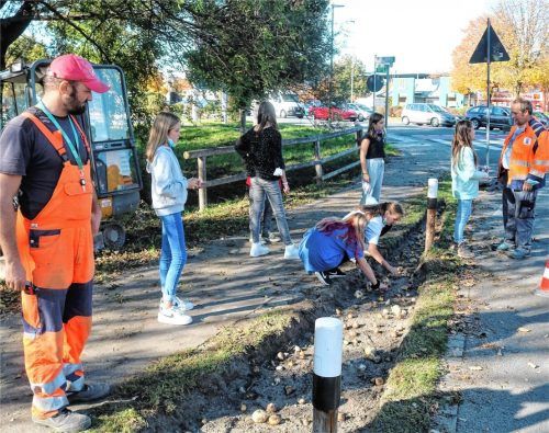Über 1000 Blumenzwiebeln hat die Gruppe gepflanzt: (von links) Stadt-Chefgärtner Simon Reiter, Kristina Leiste, Milica Cjozdanovic, Larisa Holfeld und Laura Puhl, Alina Perez, Marie Wöller und Leiter Markus Heimbuchner waren an der Kreuzung Staatsstraße und Rotbachl fleißig. Foto Riediger